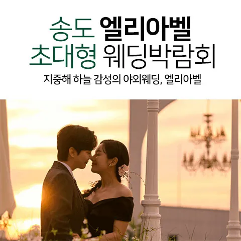 송도 엘리아벨 대형 웨딩박람회 - 인천 연수구 송도힐즈로10길 8 엘리아벨 특별행사장 인천 엘리아벨 특별행사장 웨딩박람회